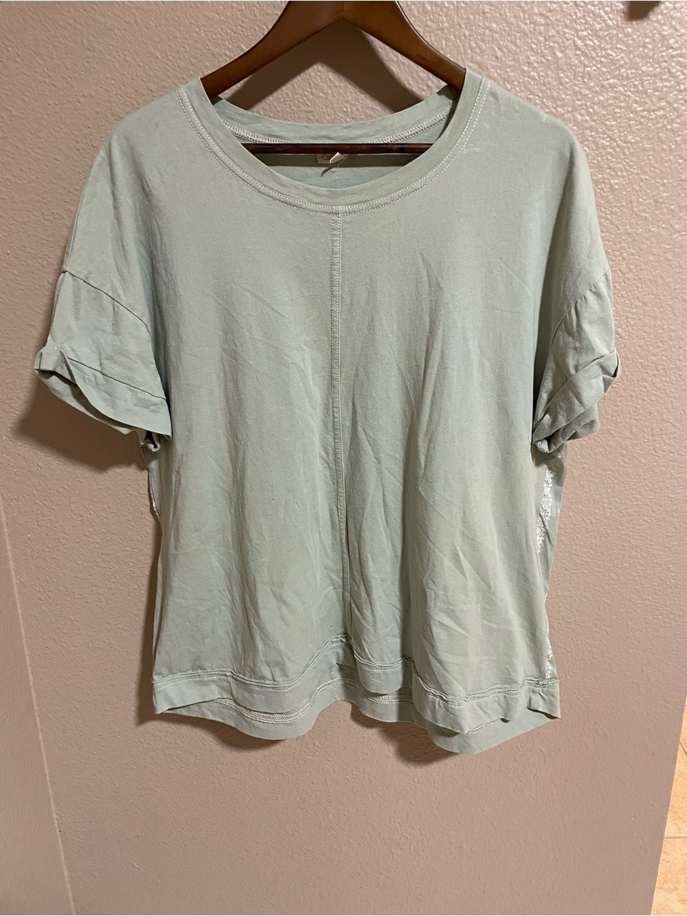 Cotton Bleu Relaxed Short-Sleeve Tee in Light Sage